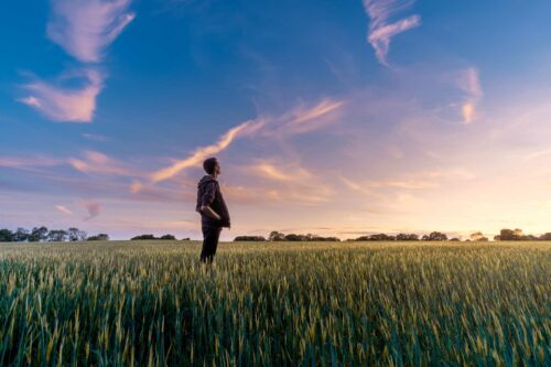 man on grass field looking up at the sky